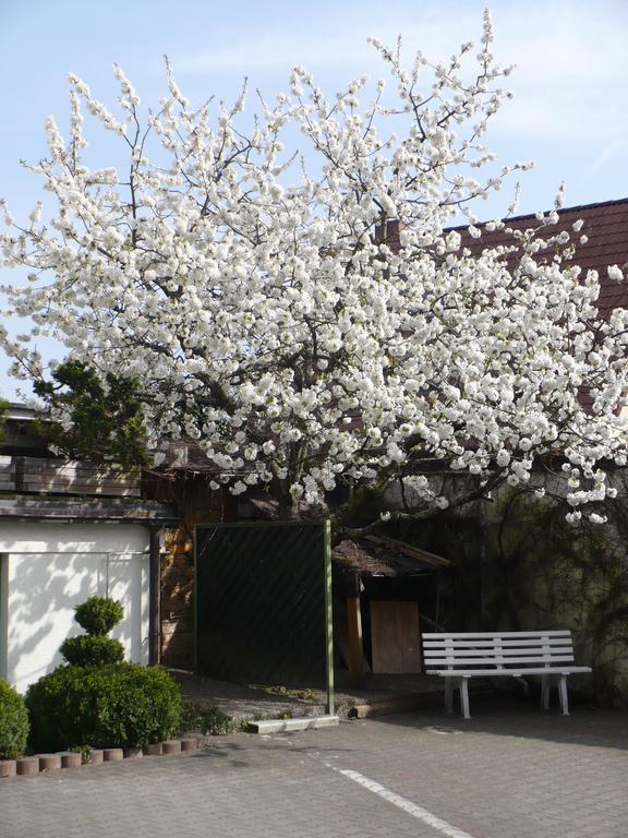 Hotel Am Birkenweg Erlangen Kültér fotó